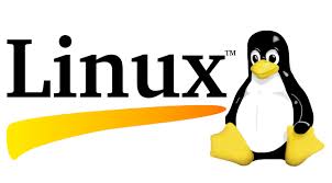 1 GB Linux Hosting